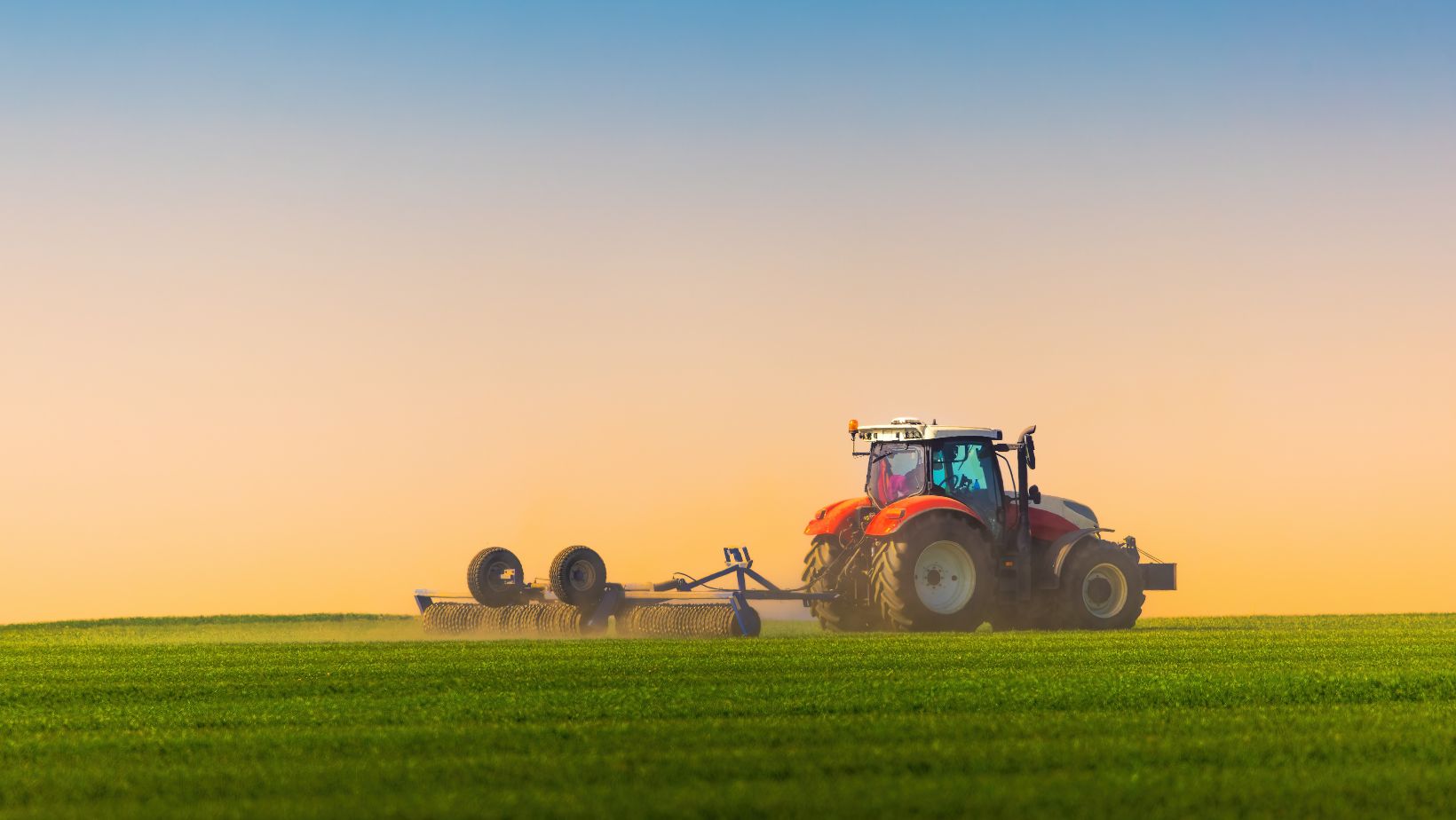 Sustainable Agriculture and Food Security: 7 Key Solutions for Global Food Security in 2024